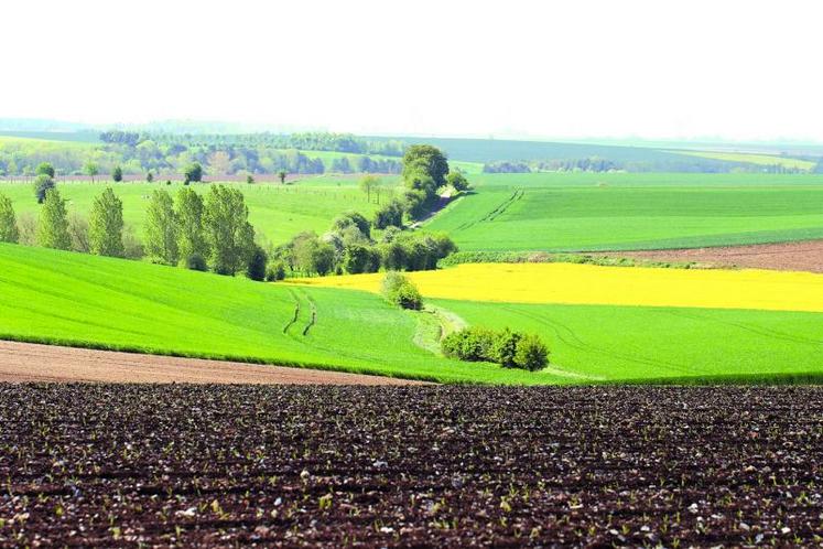 La France a choisi de majorer l'aide sur les 52 premiers hectares