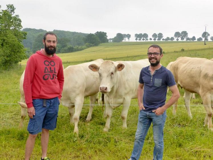 Parmi les techniques développées, les vaches de Simon Lenoir (à gauche) et Mathieu Devienne (à droite) sont menées en pâturage tournant dynamique, pour optimiser l’herbe.