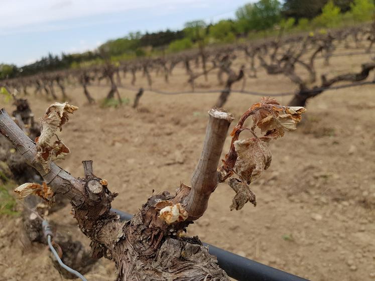 FNSEA et JA saluent les propositions du rapport Descrozaille et soulignent que les agriculteurs ne pourront pas faire face seuls.