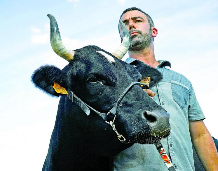 FIne, la vache bretonne pie-noir, est l'égérie de ce salon. Ici, avec son éleveur Cédric Briand. «On s'installe d'abord par passion», a insisté Jean-Luc Poulain, président du ia.