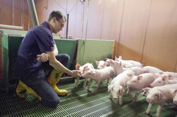 En six mois, Fabien Leroux a commercialisé un tiers de sa production via Les Salaison du terroir, dans les GMS du secteur. Son jambon est valorisé en tant que production locale et entant dans une démarche de progrès.