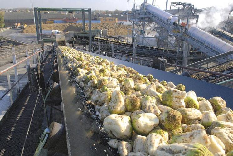 Rendez-vous est donné ce vendredi, de 10h à 14h, devant la sucrerie 
d’Eppeville. Saint Louis Sucre a annoncé que les betteraves n’y entreraient plus dès 2020.