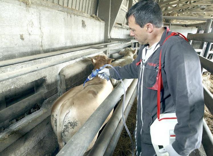 Limiter les frais vétérinaires est la principale motivation des éleveurs enquêtés à améliorer leur biosécurité.