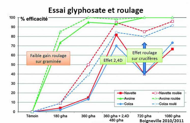 Le roulage, une solution gagnante pour une meilleure efficacité du glyphosate faiblement dosé ?