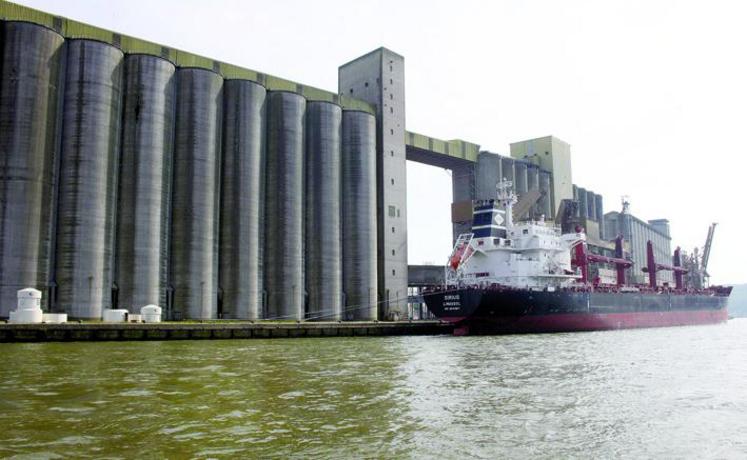 Que ce soit par route, par rail ou par voie navigable ou dans les ports, traiter une offre massive de grains est un facteur 
de compétitivité déterminant.