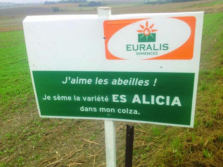 Conjuguer agronomie, économie et environnement ; la technique mérite une communication positive.