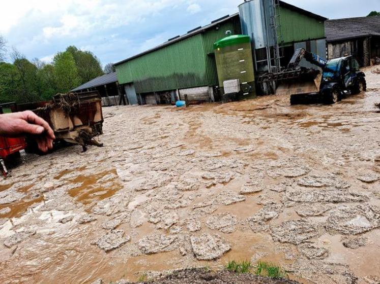 Le contrat d’assurance multirisques garantissant les dommages d’incendie (assurance habitation) ou tout autre dommage à des biens (assurance habitation ou automobile dits «tous risques») situés en France, fait automatiquement bénéficier son souscripteur de la garantie «catastrophe naturelle».