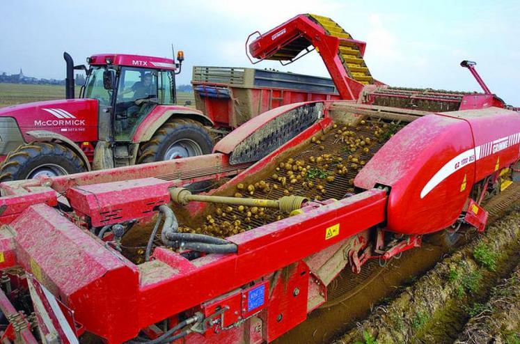 Récolte et arrachage de pommes de terre.