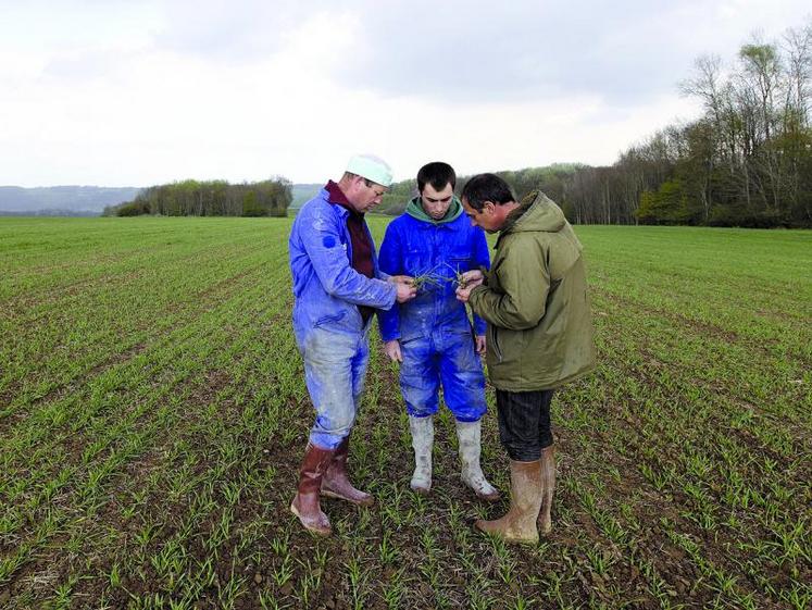 Les membres d'un GIEE s’engageront collectivement à mettre en œuvre un projet pluriannuel de modification durable des pratiques utilisées dans leurs systèmes de production.