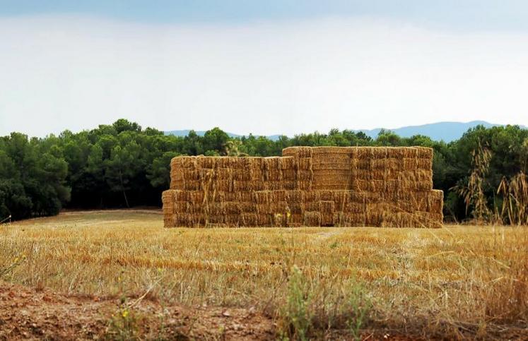 80 hectares de paille en andain et 300 tonnes sous abris ont été réunis par la FDSEA80 dans le cadre de l'opération "Solidarité paille".