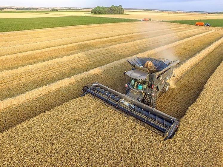 La prestation de battage proposée par la CABC et réalisée 
avec la moissonneuse-batteuse Ideal 8 de Massey-Ferguson peut être couplée à l'utilisation d'un transbordeur ; lequel permet de réduire les rotations entre le champ et le silo de réception.