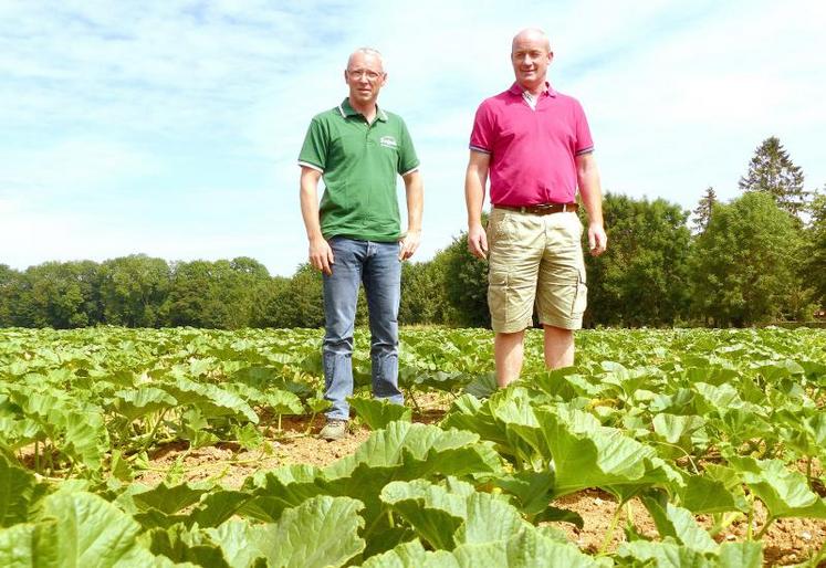 Pour le suivi de ses cultures, Christophe De Pourq (à droite), peut compter sur l’aide précieuse de son chef de plaine 
Bonduelle, Vincent Dupire (à gauche).