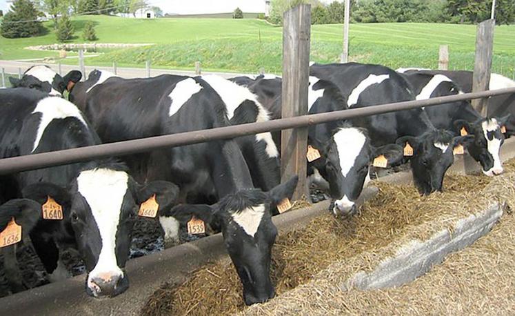 Le bien-être animal est devenu un sujet majeur de préoccupation pour les éleveurs français.
