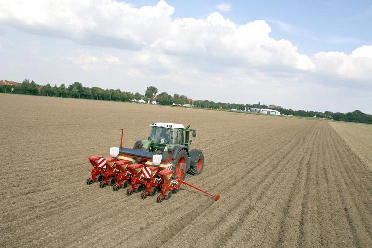 L’utilisation d’engrais starter augmente la capacité de la plante à capter le phosphore du sol et accélère légèrement 
sa croissance.