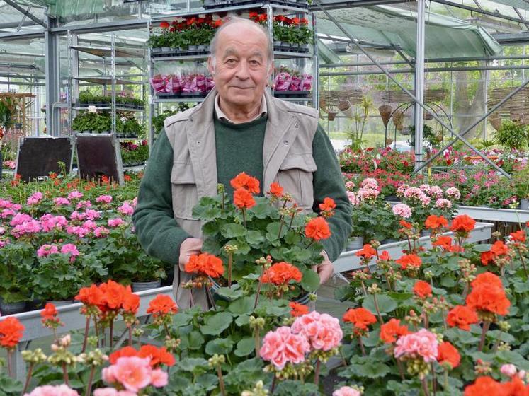 Les géraniums de Pierre Triboulet, gérant de Gosset Fleurs, à Amiens, ont du succès, mais il faudra du temps pour 
remonter la pente après plusieurs semaines de fermeture.