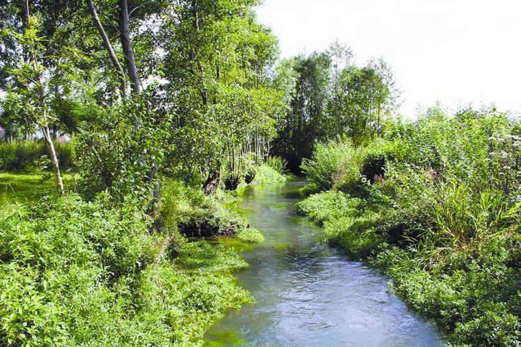 Alors que la qualité des eaux est correcte et stationnaire, l'Etat veut étendre les zones vulnérables et pour ce faire fixe un nouveau seuil à ne pas dépasser dans les rivières.