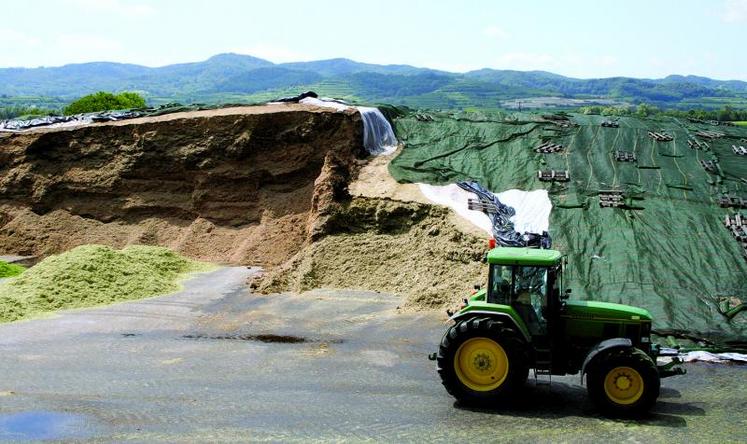 Stock d'ensilage pour la production de biogaz. Activité rémunératrice pour les éleveurs, la méthanisation pourrait finir par entraver la production laitière, en entrainant une augmentation du prix du foncier et une forte demande en maïs.