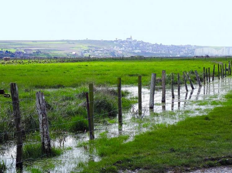 L'enjeu est de concilier la productivité et le respect de la biodiversité.