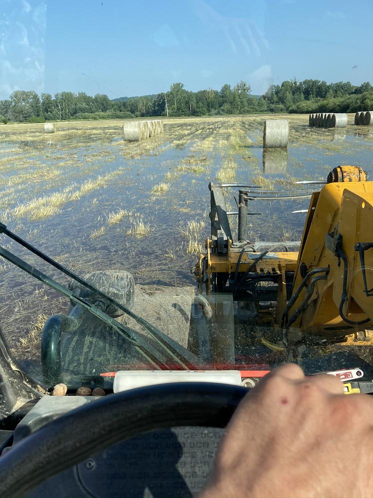 Assuré ou non, dès 2023, les agriculteurs bénéficieront d’une protection  universelle face aux risques climatiques. Les assurés restent tout de même mieux couverts. 