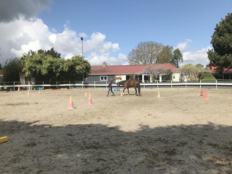 Il a fallu instaurer une relation de confiance avec Fiston pour qu’il accepte de coopérer. Le principe est le même pour la collaboration avec des collègues de travail.  