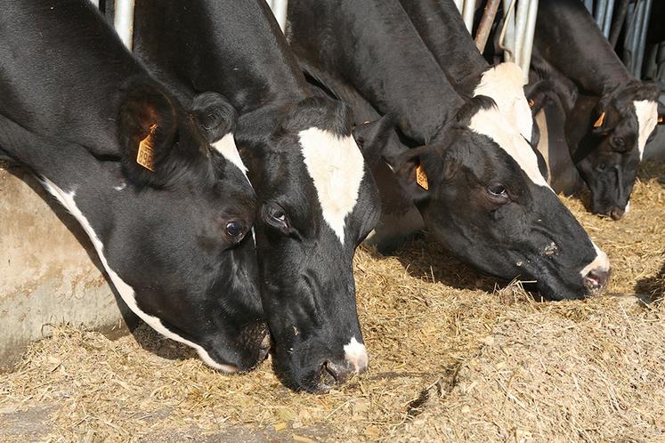 L’efficacité d’un aliment n’est pas identique d’un animal à l’autre,  et d’une ration à l’autre.