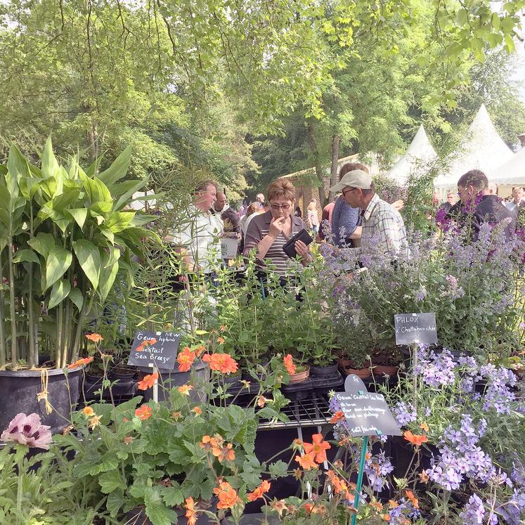 Déambulation parmi les exposants, découverte de nouvelles variétés et des murs végétaux sont au programme pendant deux jours à la Citadelle de Doullens.