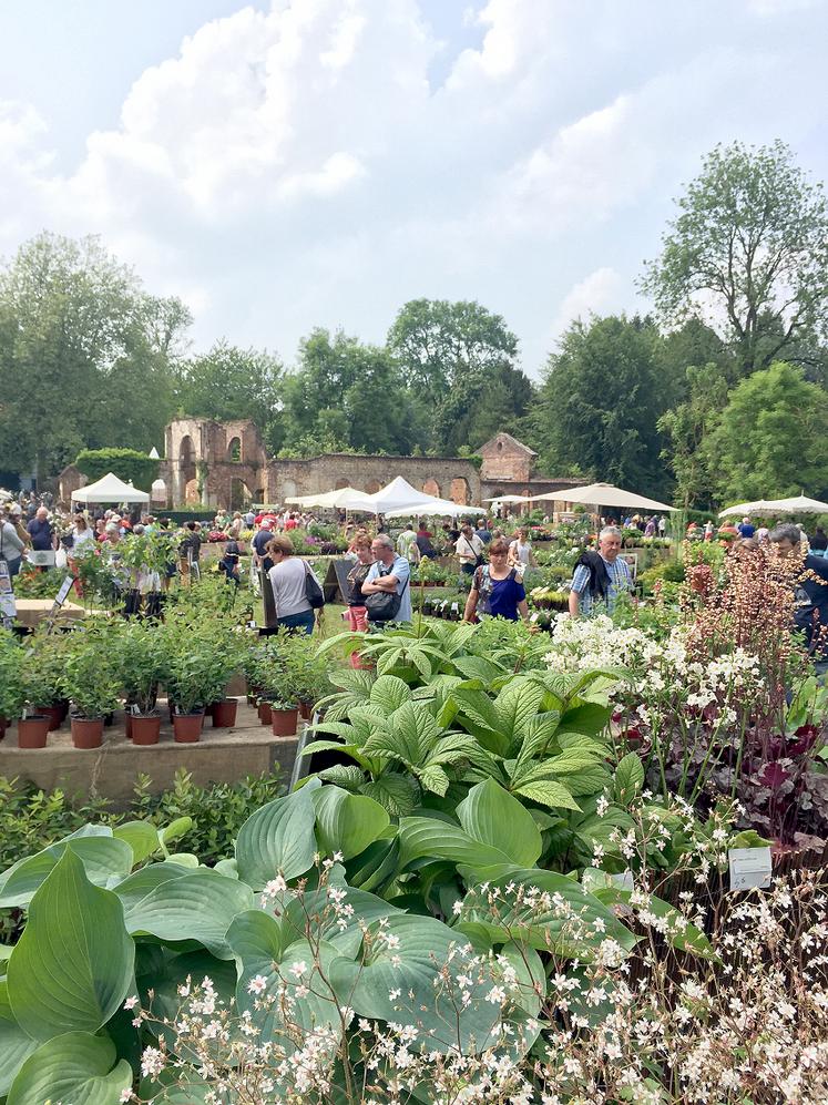Déambulation parmi les exposants, découverte de nouvelles variétés et des murs végétaux sont au programme pendant deux jours à la Citadelle de Doullens.