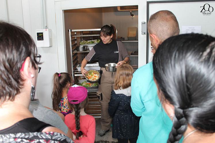 Pour nourrir chaque jour ses sept cents animaux, le parc zoologique d’Amiens dispose d’une cuisine centrale où une équipe de soigneurs et de cuisiniers préparent les repas en fonction des besoins énergétiques de chaque espèce. Depuis quelques jours, certains de ces repas sont préparés avec des produits issus de fermes de la Somme.