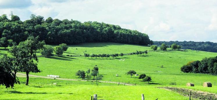 La remise en culture des prairies a été accélérée par les annonces de l’Etat depuis 2012, tant chez les éleveurs qui ont cessé leur activité d’élevage que pour ceux qui la poursuivent.