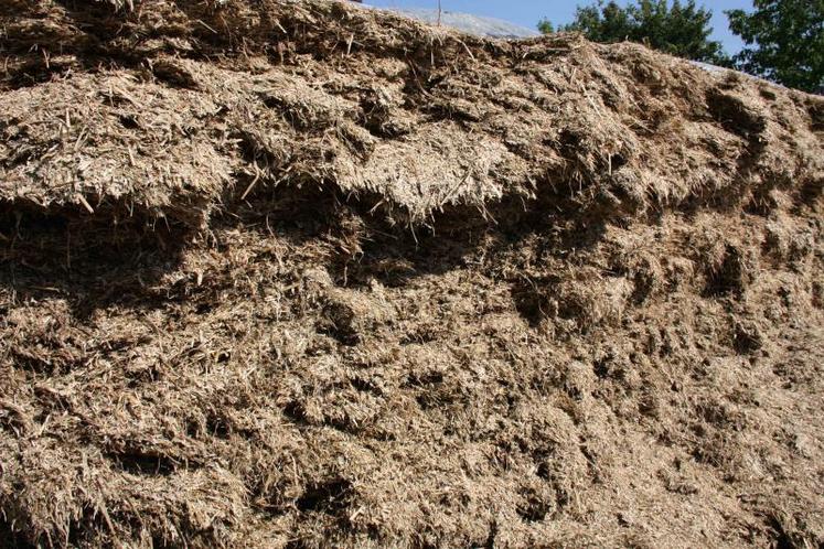 La gamme de valeur énergétique des céréales varie de 0,6 UFL par kg de MS pour un blé au stade laiteux-pâteux à 0,85 UFL par kg de MS pour un blé immature récolté à 50 % de MS.