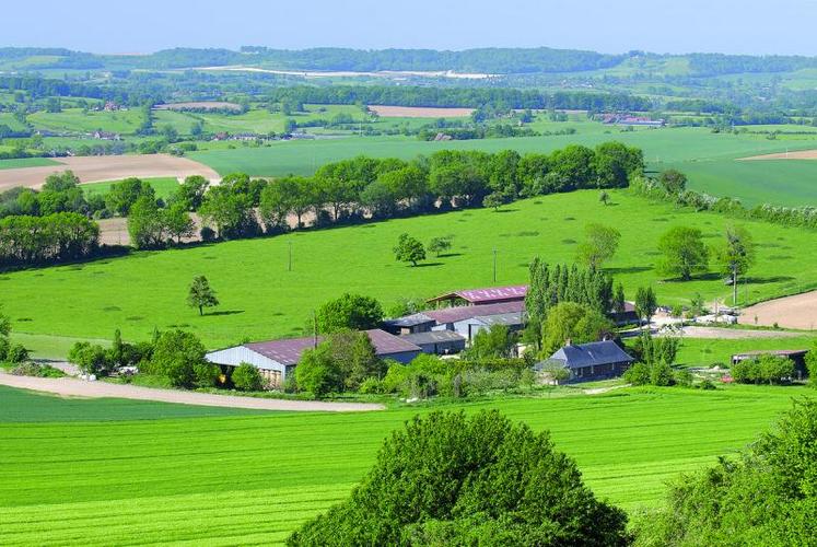 Quand des terres ou un corps de ferme sont vendues, le fermier titulaire du bail peut les acheter en priorité, 
sauf dans certaines conditions quand l’acheteur est une collectivité publique ou si la vente est conclue en famille.