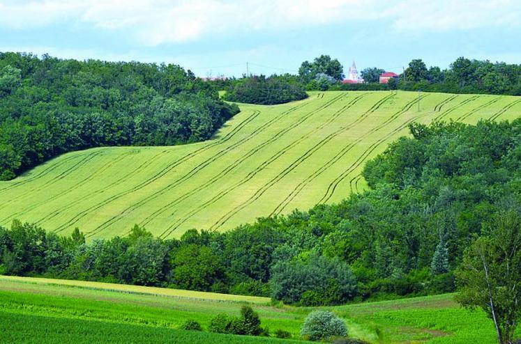 La volatilité des prix agricoles et les obligations environnementales de plus en plus prégnantes viennent plus que jamais renforcer la nécessité d’avoir une assise foncière la plus durable possible.