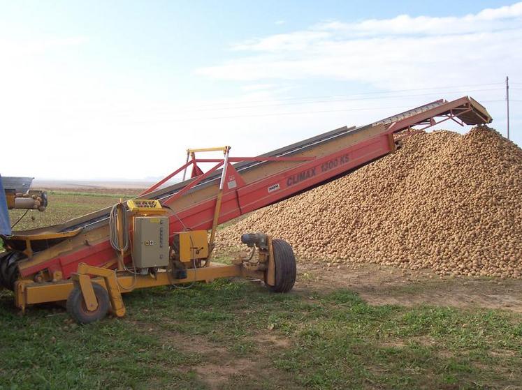 Après avoir perturbé les arrachages, la pluie complique l’étape de conservation des pommes de terre féculières, 
en particulier, lorsqu’elles sont stockées en extérieur.