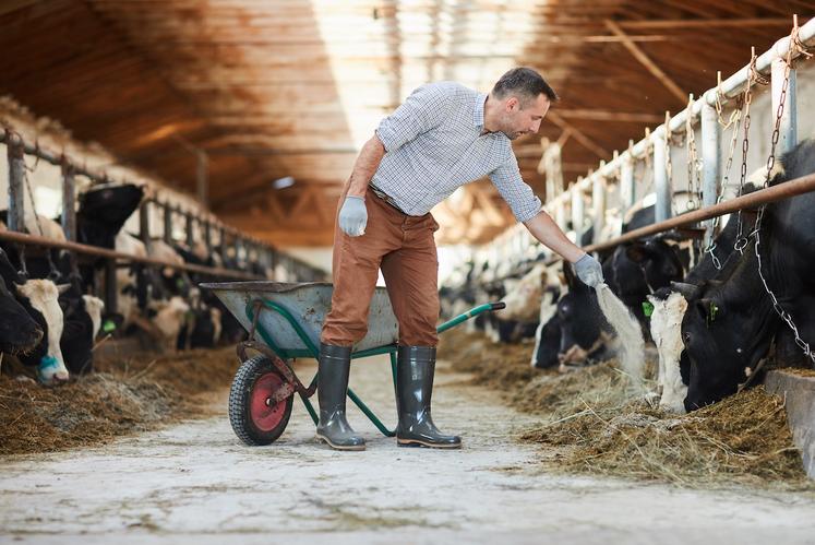 prix du lait en Europe 