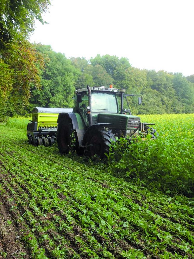 Les Heurtaut sont passés en TCS et semis direct en 2003.