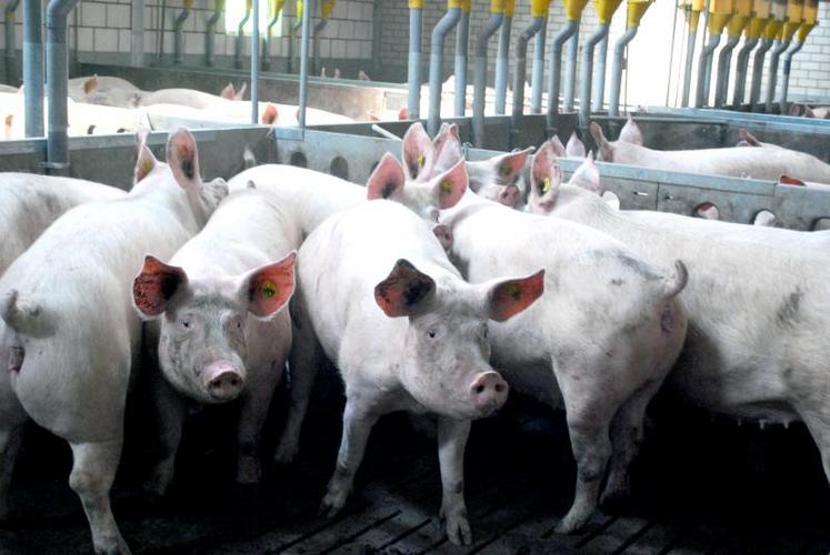 Les besoins chinois se précisent et se concrétisent par des hausses de cours partout dans le monde.