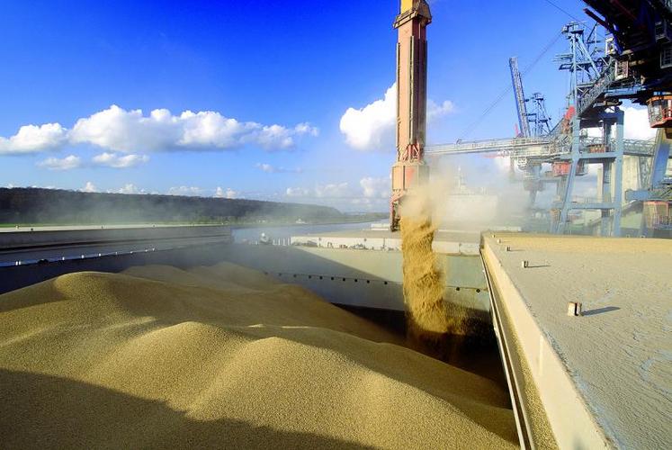 Selon FranceAgriMer, les exports de blé pays tiers n'atteindraient cette campagne que 8 Mt, contre 12,2 Mt la précédente.