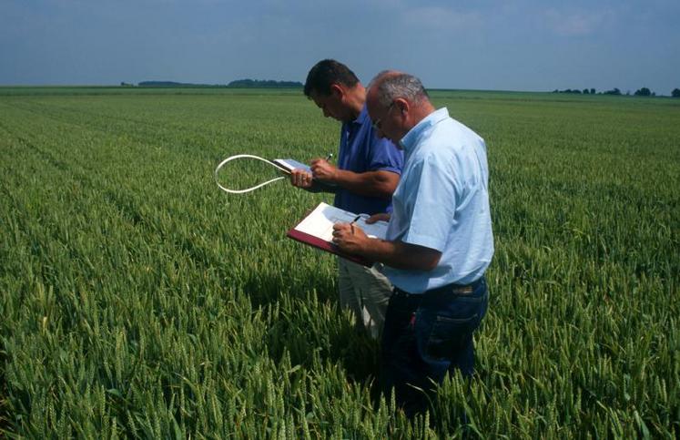 L’amélioration variétale est un levier pour gagner en performances économiques et environnementales.