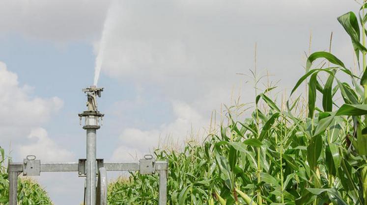 Non, l’irrigation n’augmente pas le risque de lessivage du nitrate.