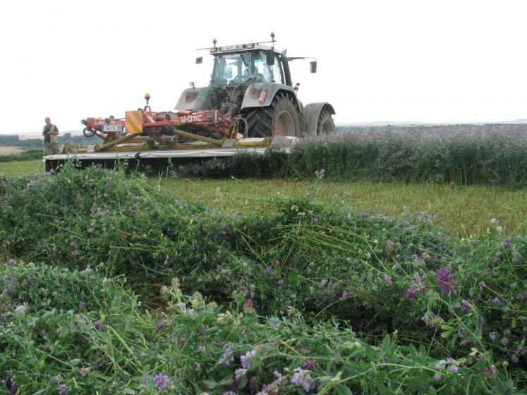 La filière a réussi à compenser la baisse des aides Pac à l’hectare et a redonné du revenu aux producteurs.