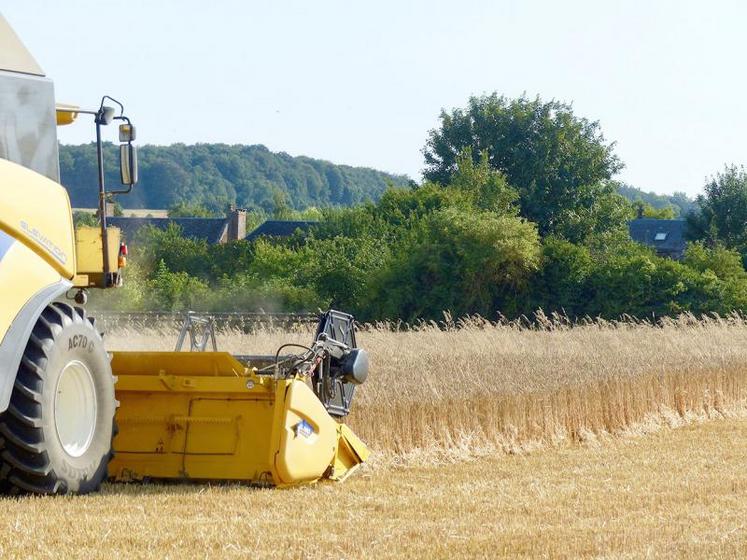 Toutes les productions végétales ont diminué en volume : les céréales, avec 62,5 Mt en 2018, étaient en  baisse de 8,8 % par rapport à 2017.