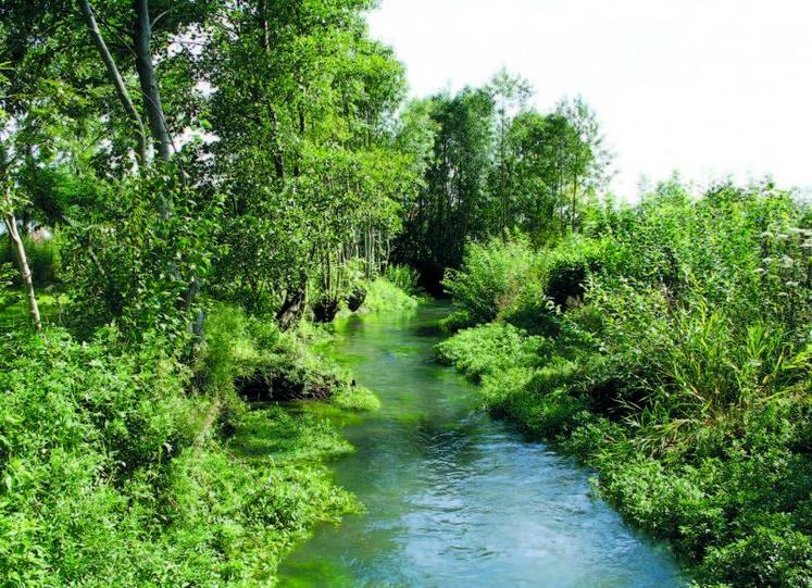 Le schéma d’aménagement et de gestion de l’eau (Sdage) encadre toute la politique de l’eau dans le bassin Artois Picardie.