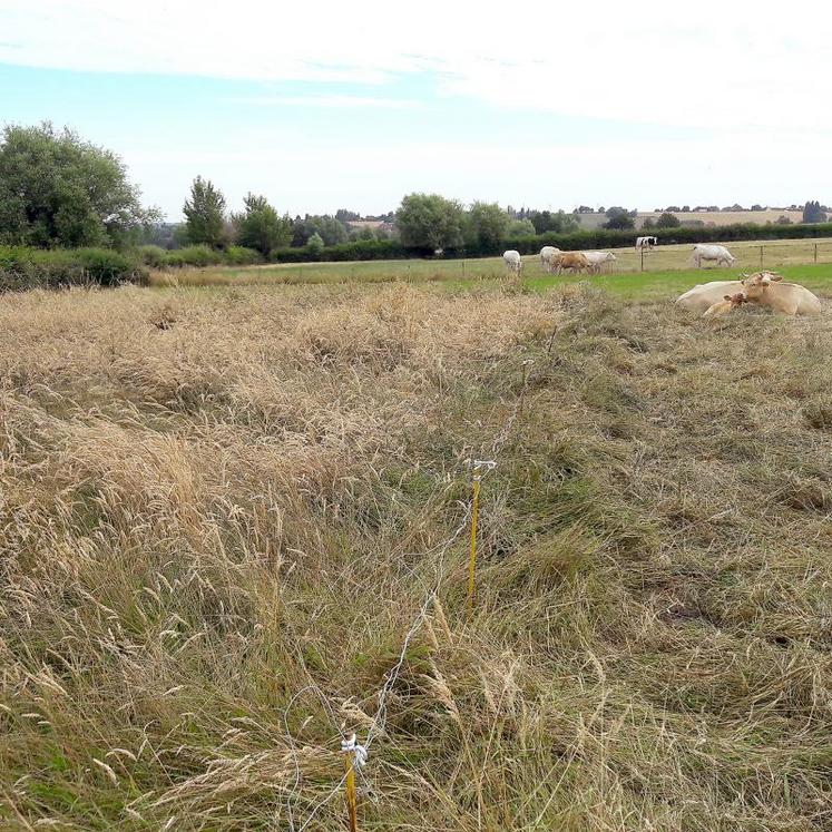 Rigueur et méthodes sont nécessaires pour éviter une telle situation.
