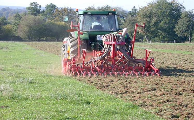 Ressemis de prairie avec destruction mécanique du couvert.