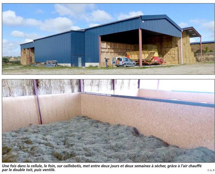 Une fois dans la cellule, le foin, sur caillebotis, met entre deux jours et deux semaines à sécher, grâce à l’air chauffé 
par le double toit, puis ventilé.