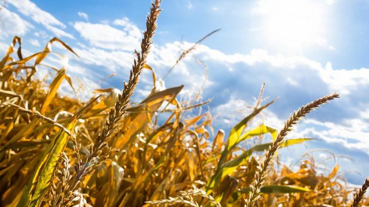 Depuis juin 2019, la température a dépassé la norme de saison de 1,72°C en moyenne.