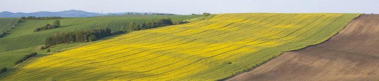 Le groupement foncier agricole est l’un des moyens d’organiser son patrimoine foncier, d’en préserver l’unité et d’en assurer la transmission.