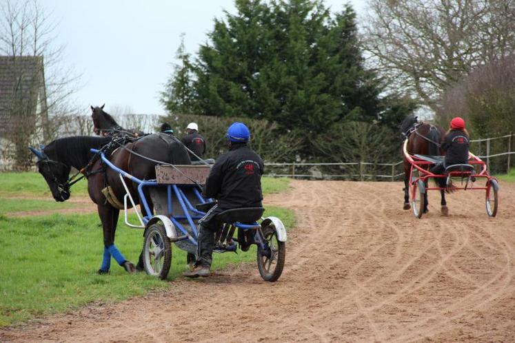 Favorisant l’insertion professionnelle dès l’entrée en formation grâce à l’apprentissage, la filière courses offre une formation complète et spécifique.