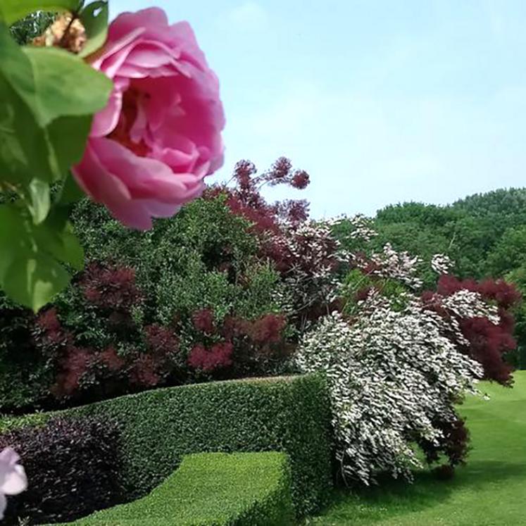 Arboretum de 4 hectares, le Jardin Lucine,  à Berteaucourt-les-Thennes, tient son nom de la rivière qui la borde, la Luce. Visite samedi 5 juin de 10h à 12h ; réservation au 06 09 61 68 75. 