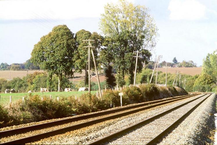 39 heurts de 2017 ont impacté 189 trains au total et causé 56 heures de retard cumulé.